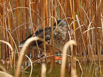 KONKURS FOTOGRAFICZNY