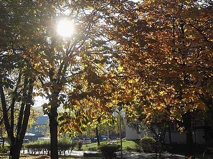 KONKURS FOTOGRAFICZNY