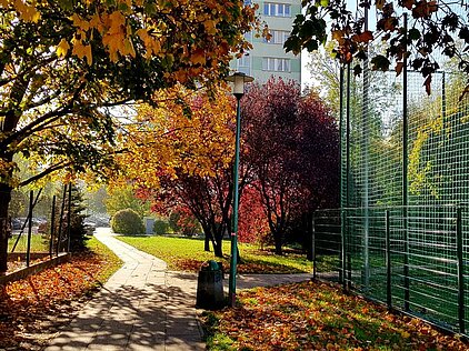 KONKURS FOTOGRAFICZNY