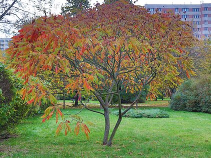 KONKURS FOTOGRAFICZNY