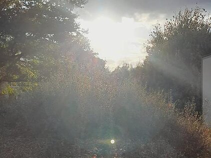 KONKURS FOTOGRAFICZNY