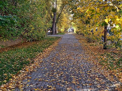 KONKURS FOTOGRAFICZNY