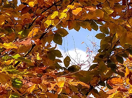 KONKURS FOTOGRAFICZNY