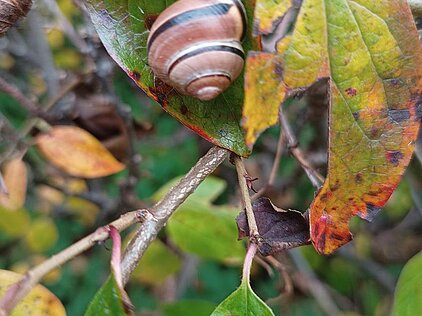KONKURS FOTOGRAFICZNY