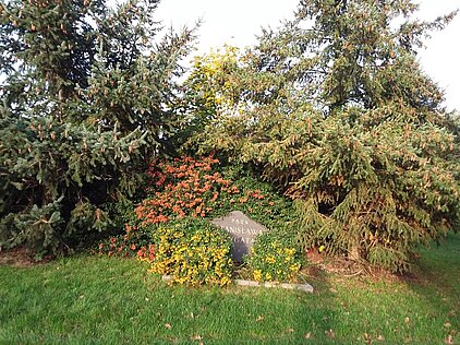 KONKURS FOTOGRAFICZNY