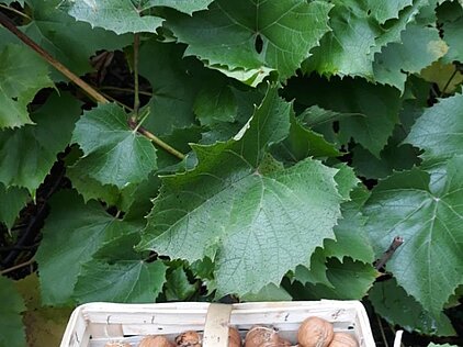 KONKURS FOTOGRAFICZNY