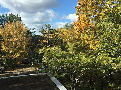 KONKURS FOTOGRAFICZNY