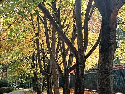 KONKURS FOTOGRAFICZNY