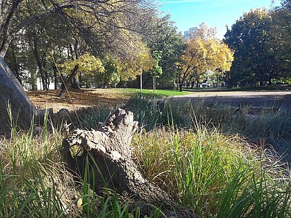 KONKURS FOTOGRAFICZNY