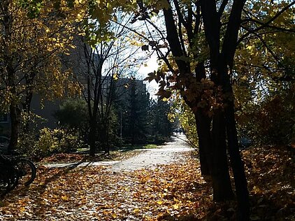 KONKURS FOTOGRAFICZNY